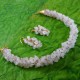 White Rainbow Moonstone Chips Set (Necklace + Earrings)	